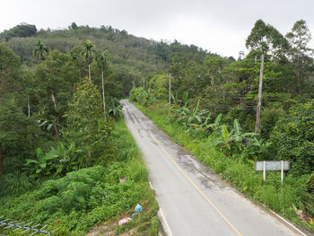 Road amidst trees and plants against sky