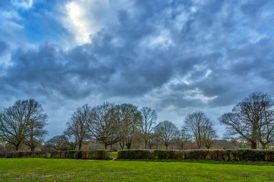 Bare trees on landscape against sky