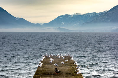 Scenic view of sea and snowcapped mountains against sky