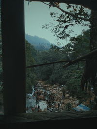 Trees and buildings in forest seen through window