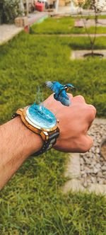 Close-up of hand holding bird on field