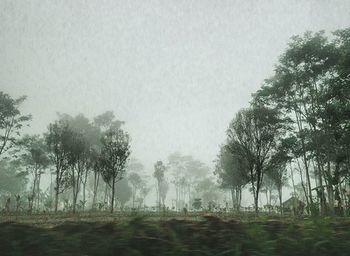 Scenic view of trees against clear sky