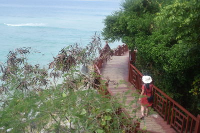 Rear view of person walking on footpath by sea