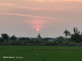 Scenic view of field against sky during sunset