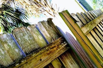 Low angle view of trees and plants