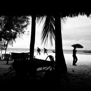 Palm trees on beach at sunset