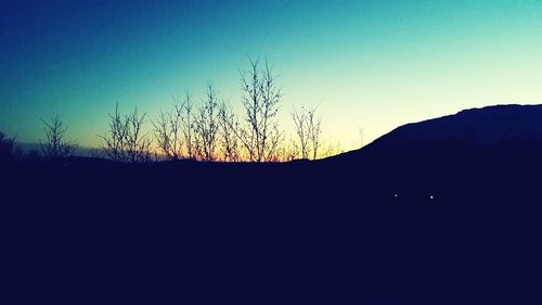 Silhouette of bare tree against sunset sky