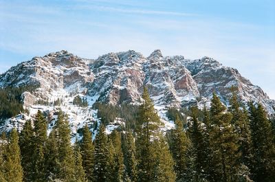 Panoramic view of snow covered land and trees against sky