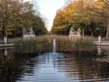 Swan on lake during autumn