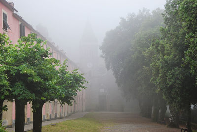 Fog at sanctuary of our lady of soviore in monterosso al mare, la spezia, liguria, italy.
