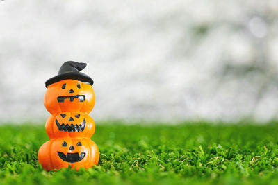 View of pumpkin on field
