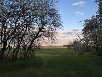 Scenic view of grassy field against cloudy sky