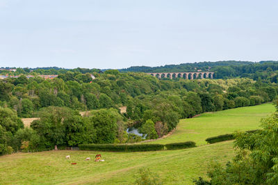 Traphont cefn mawr rail viaduct across the river dee in the vale of llangollen in northeast wales. 