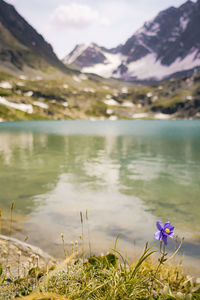 mountain