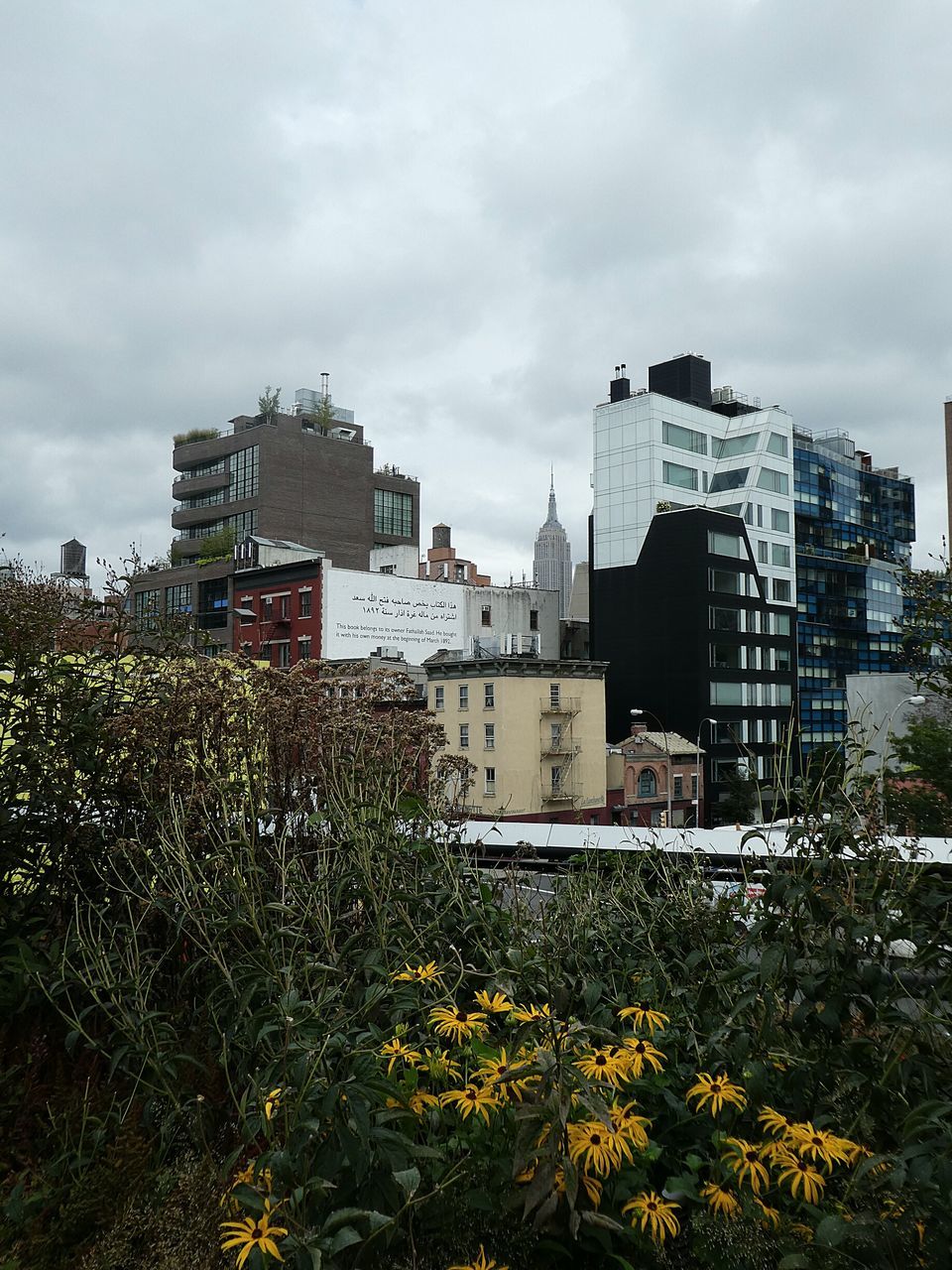 architecture, built structure, building exterior, sky, cloud - sky, growth, cloud, cloudy, day, outdoors, nature, no people, cloudscape, residential district, tall, exterior