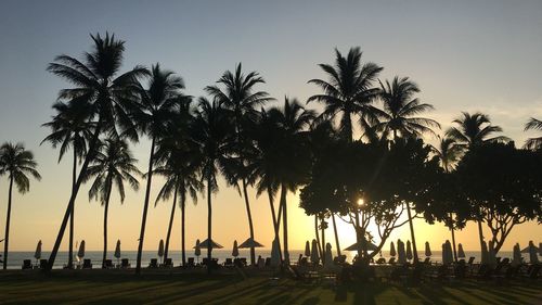 Silhouette palm trees on beach against clear sky