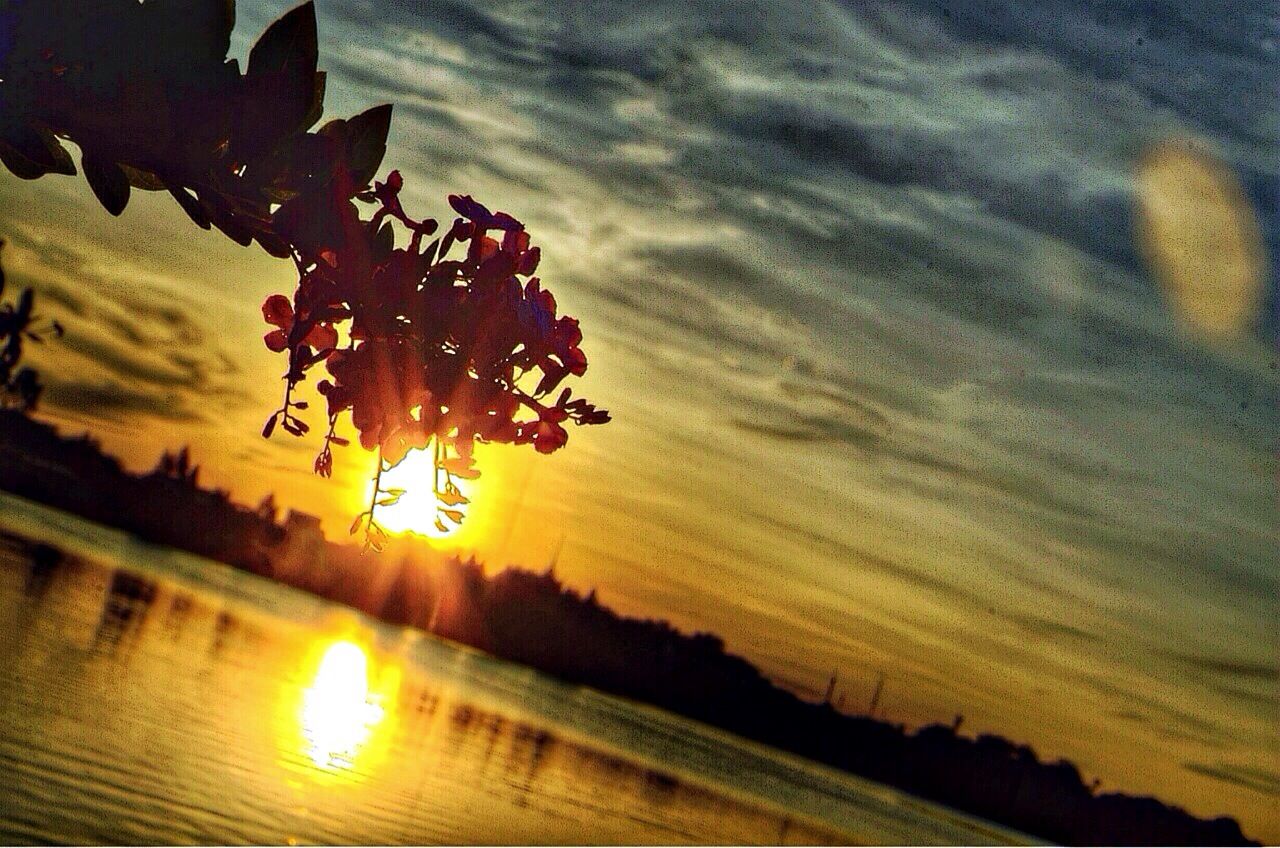 sunset, sky, sun, tree, silhouette, beauty in nature, water, nature, tranquility, reflection, cloud - sky, scenics, tranquil scene, orange color, sunlight, lake, idyllic, growth, outdoors, waterfront