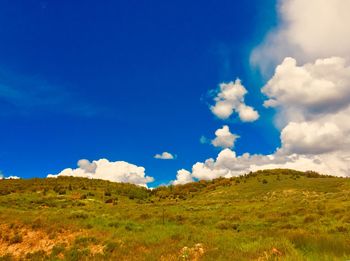 Scenic view of field against blue sky