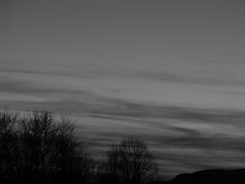 Low angle view of silhouette trees against sky