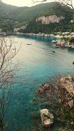 Scenic view of river in forest