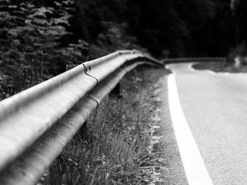 Surface level of road amidst trees