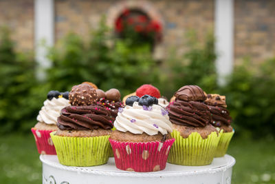 Close-up of cupcakes on cake