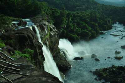 Scenic view of waterfall in forest