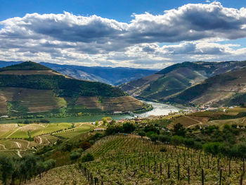 Scenic view of agricultural field against sky.