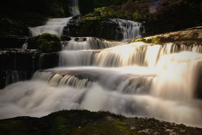 Scenic view of waterfall in forest