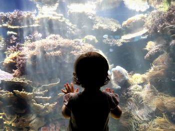 Rear view of girl looking at corals in fish tank at waikiki aquarium