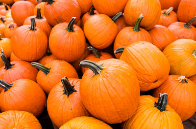 Full frame shot of pumpkins