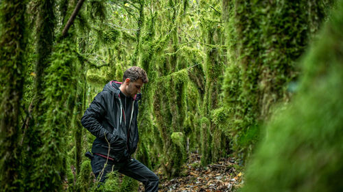 Man standing by tree in forest