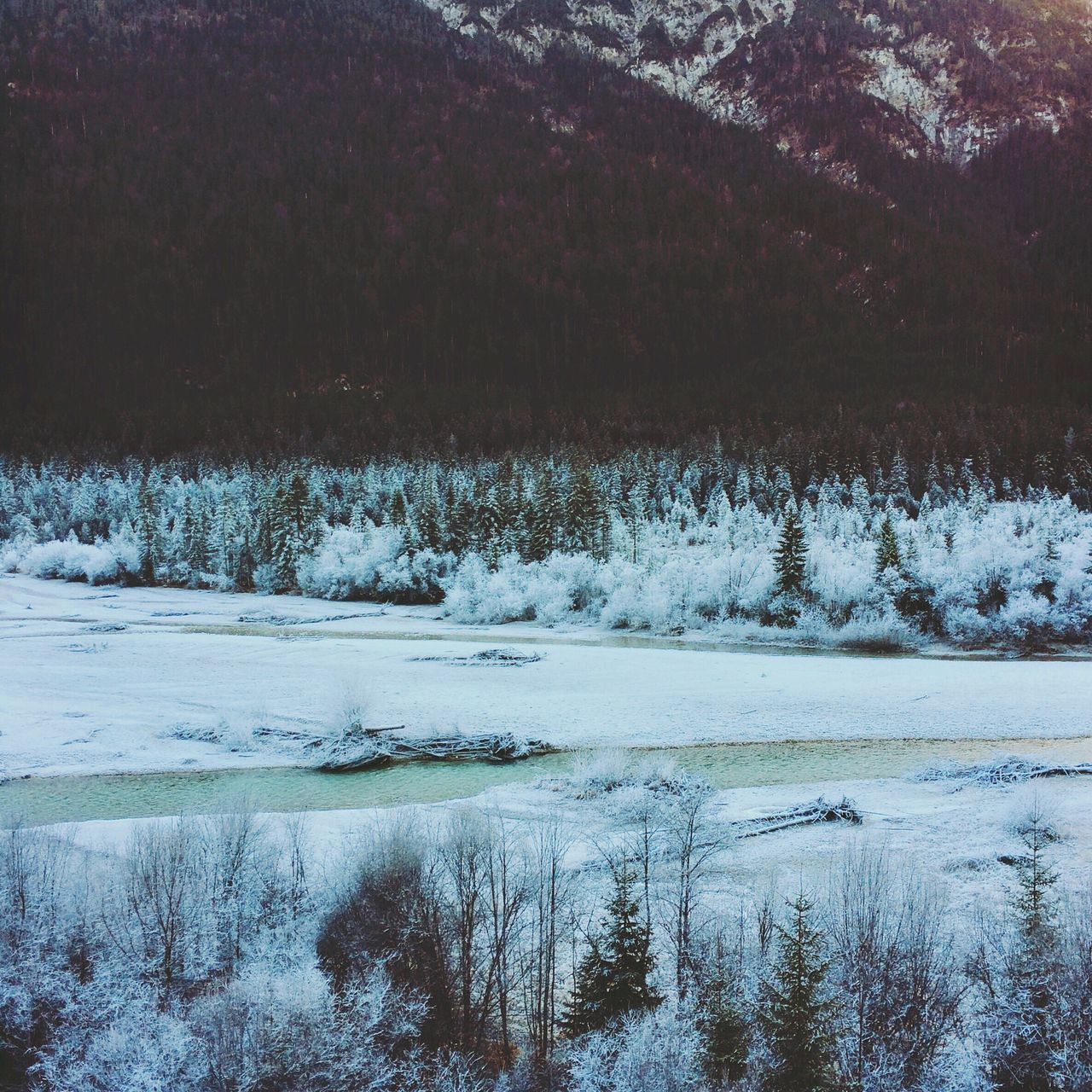 snow, winter, cold temperature, season, tranquil scene, frozen, tranquility, weather, water, nature, scenics, beauty in nature, lake, covering, landscape, field, tree, ice, non-urban scene, reflection