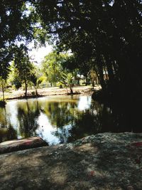 Scenic view of lake by trees against sky