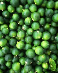 Calamansi up close