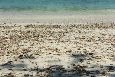 Scenic view of beach