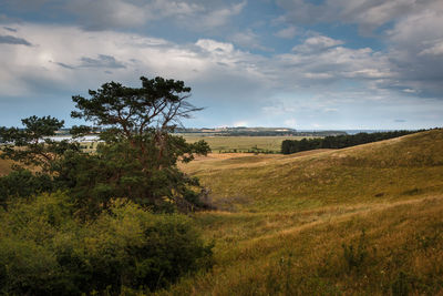 Scenic view of field against sky