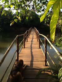 Railing on wooden footbridge