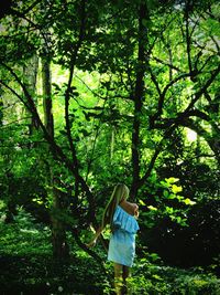 Rear view of young woman standing by trees in forest