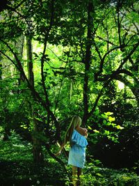 Rear view of man standing in forest