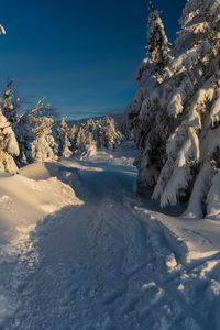 Snow covered landscape against blue sky