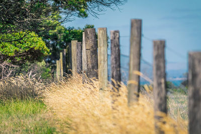 Wooden fence on field against sky