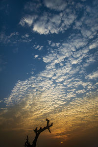 Low angle view of silhouette men against sky during sunset