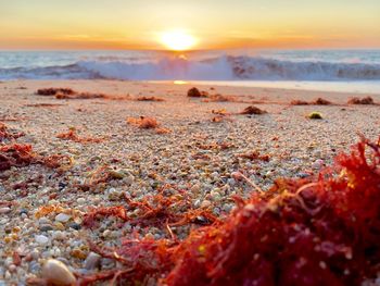 Scenic view of sea during sunset