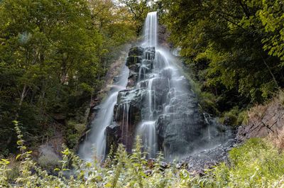 Scenic view of waterfall in forest