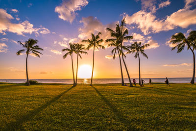 Silhouette palm trees at beach against sky during sunset