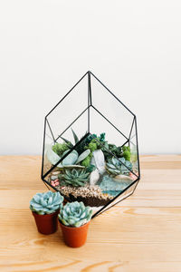 Potted plant on table