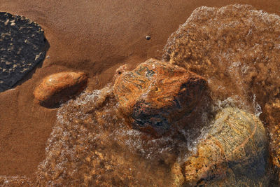 Directly above shot of small pristine waves rolling into beach dotted with colorful rocks boulders