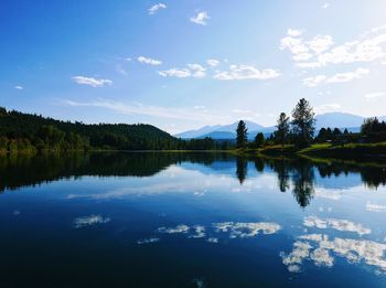 Scenic view of lake by trees against blue sky