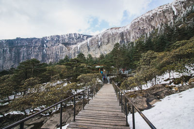 Footbridge amidst trees and mountains against sky